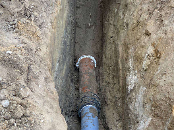 Best Professional water damage repair  in Lake Grove, NY