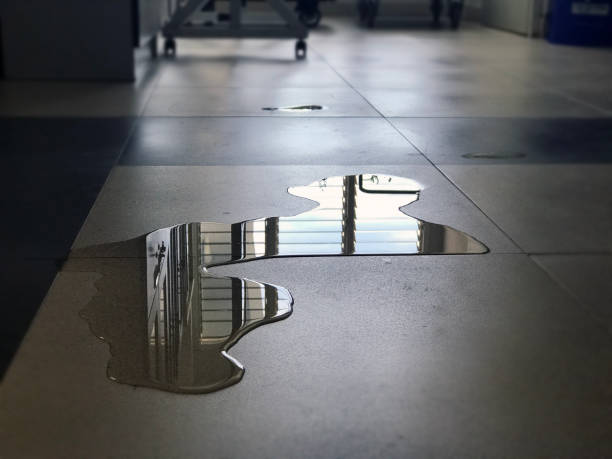 Best Local water damage restoration  in Lake Grove, NY