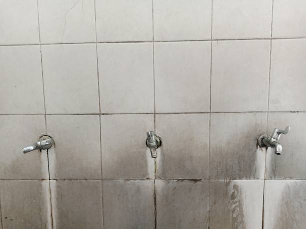 Best Ceiling water damage repair  in Lake Grove, NY